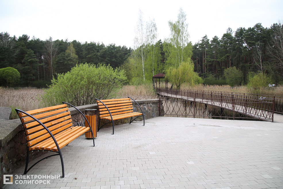 лягушатник солигорск