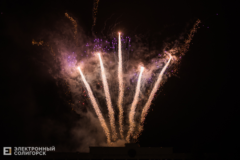 шествие дедов морозов