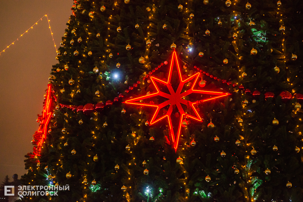 шествие дедов морозов