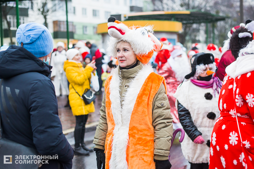 шествие дедов морозов