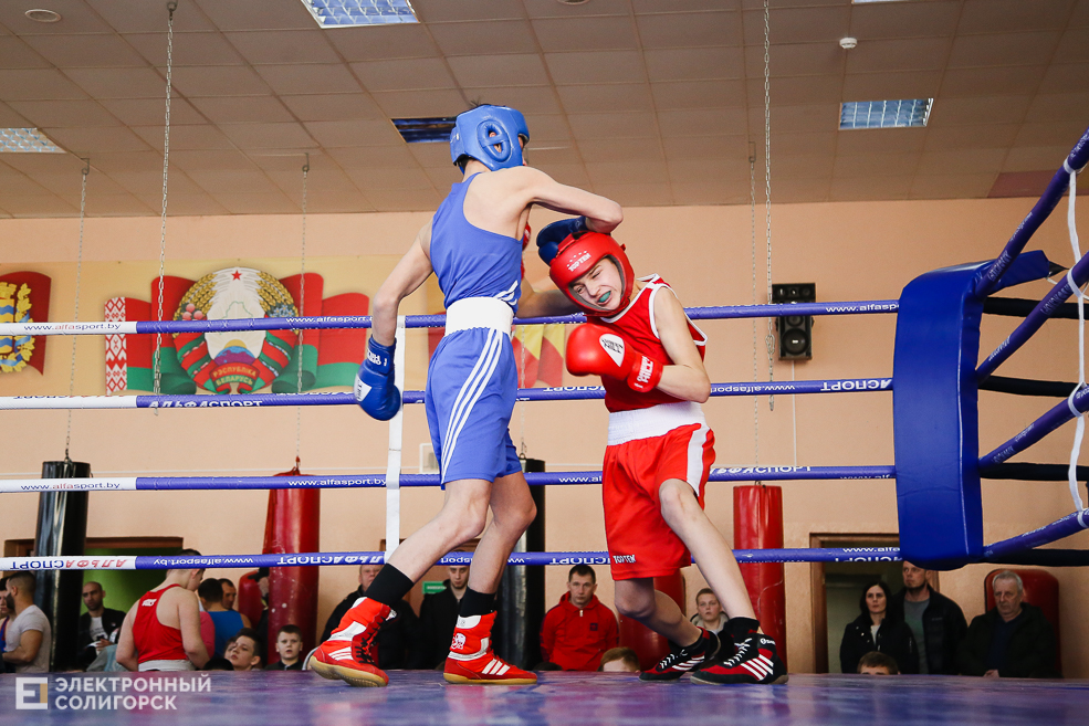 бокс Солигорск