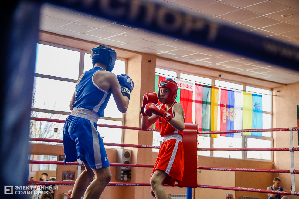 бокс Солигорск