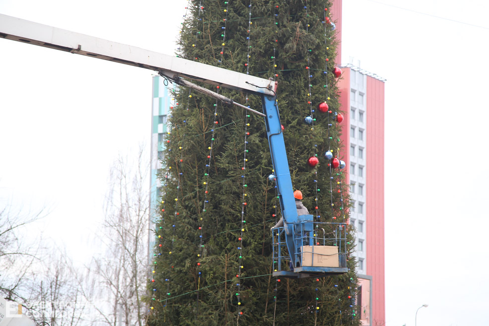 елка площадь солигорск