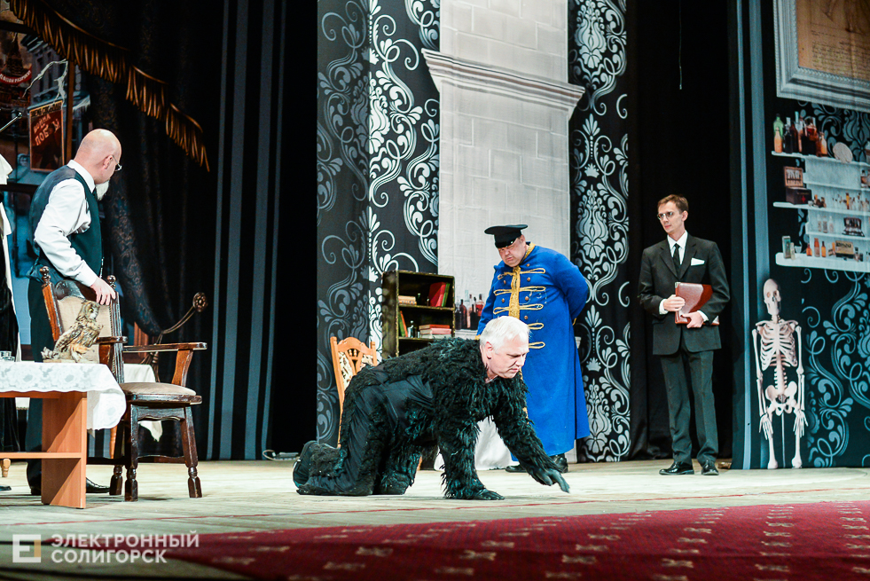 собачье сердце