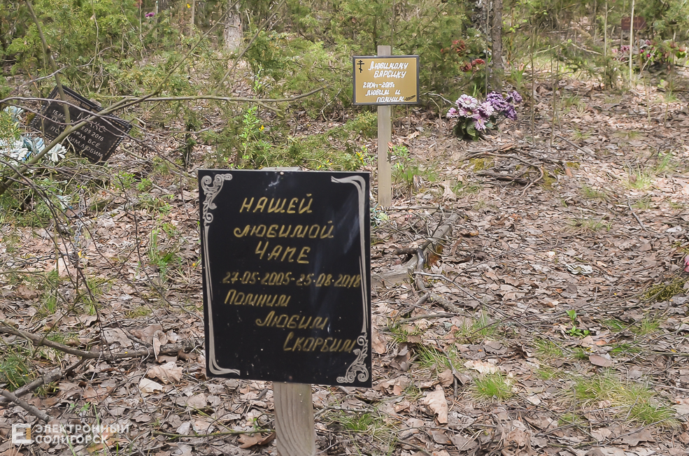 солигорское кладбище домашних животных