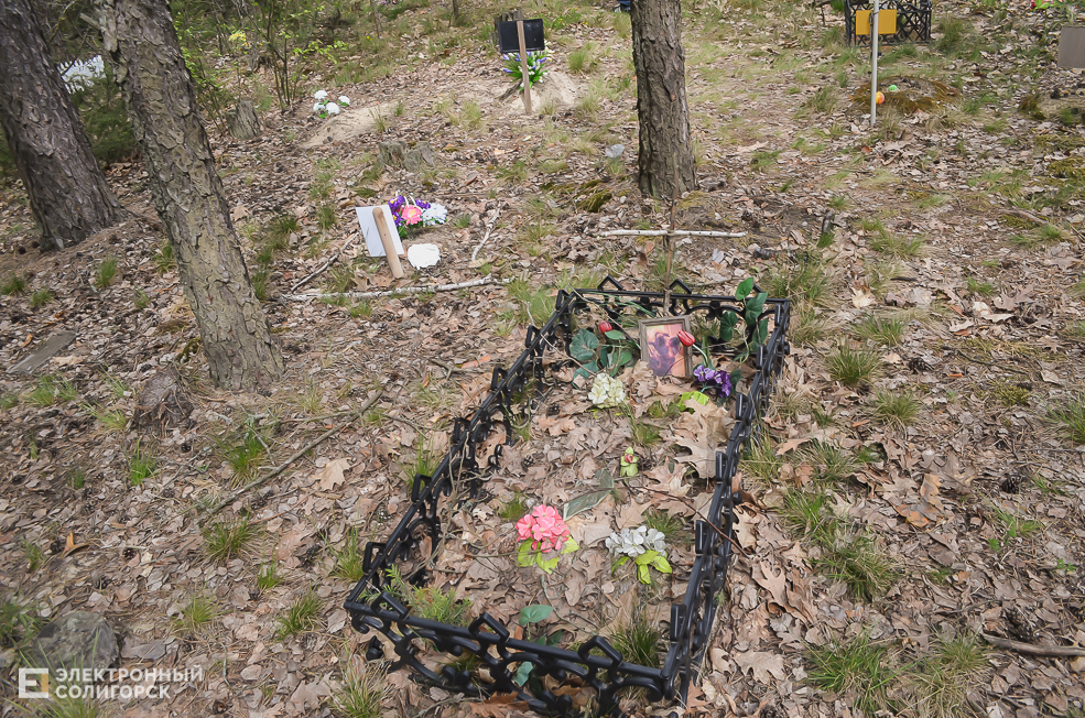 кладбище домашних животных солигорск