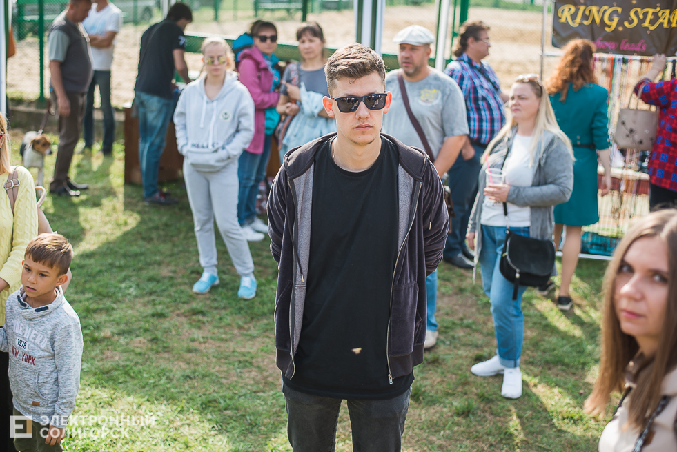 выставка собак