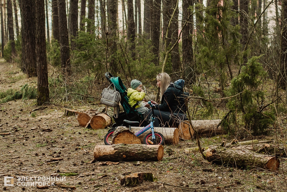 весенняя прогулка