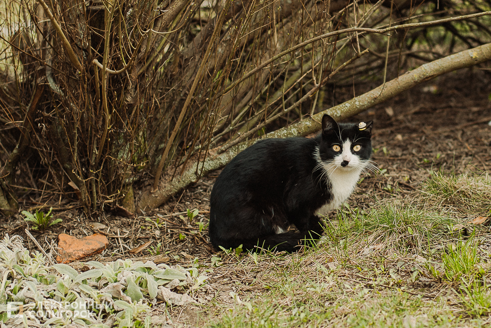 весенняя прогулка