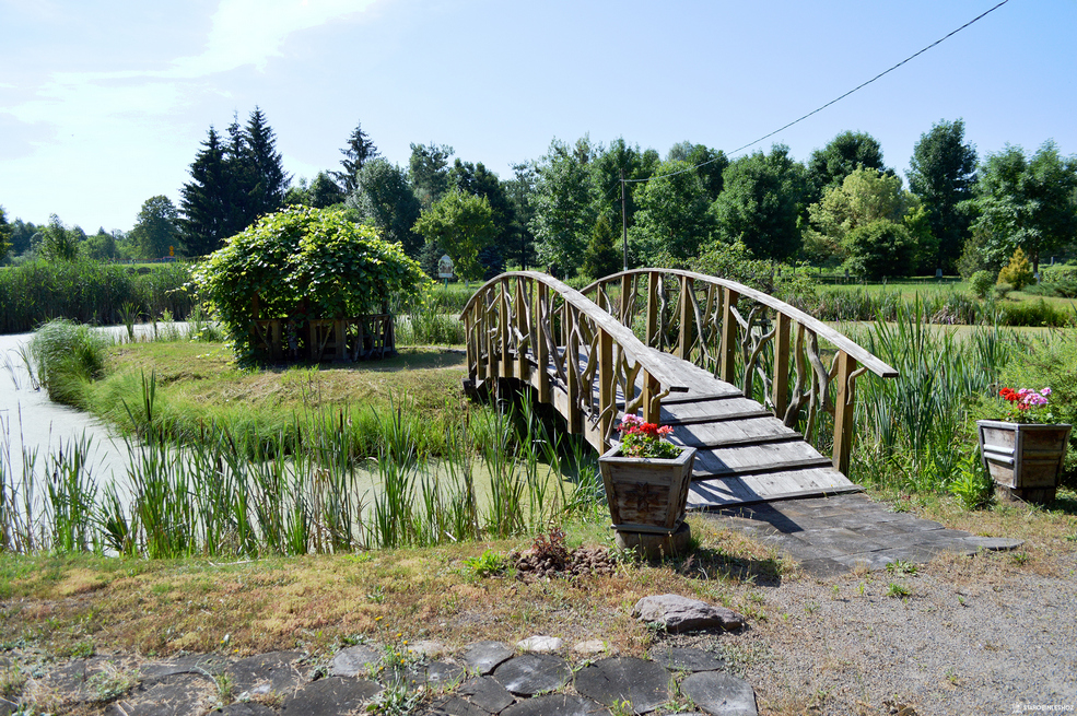 Дендропарк в Солигорском районе