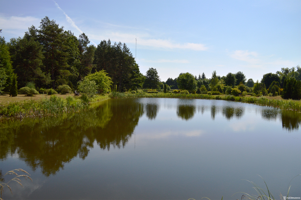Дендропарк в Солигорском районе