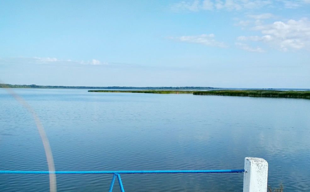 Дикое озеро Любанское водохранилище