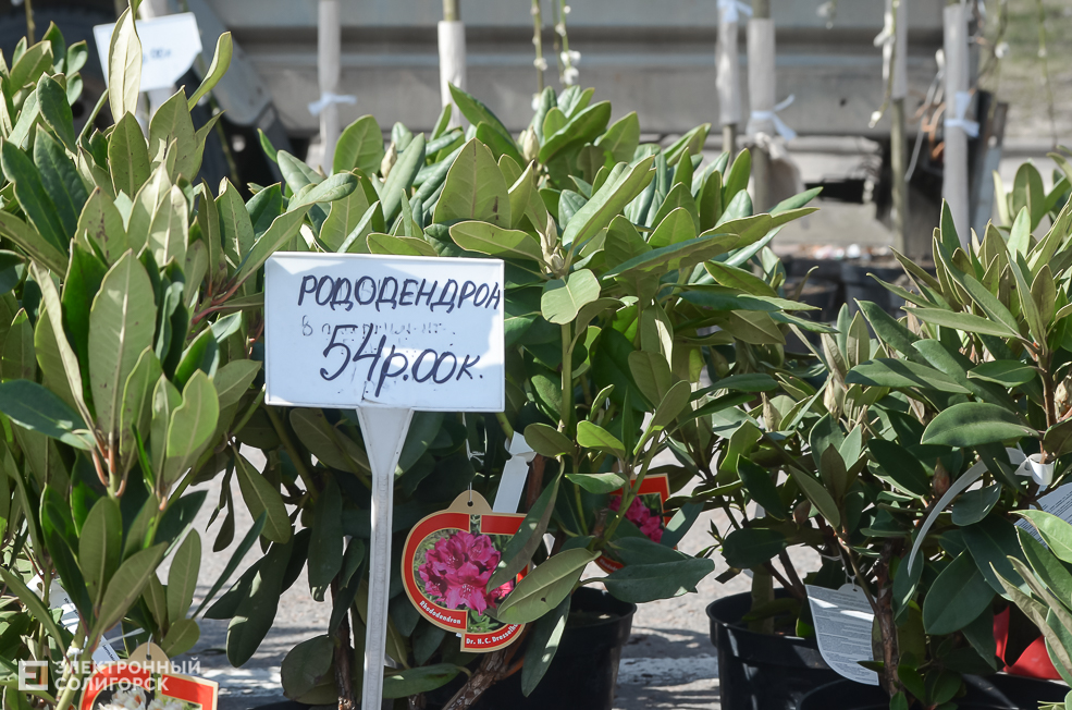 Yarmarka солигорск