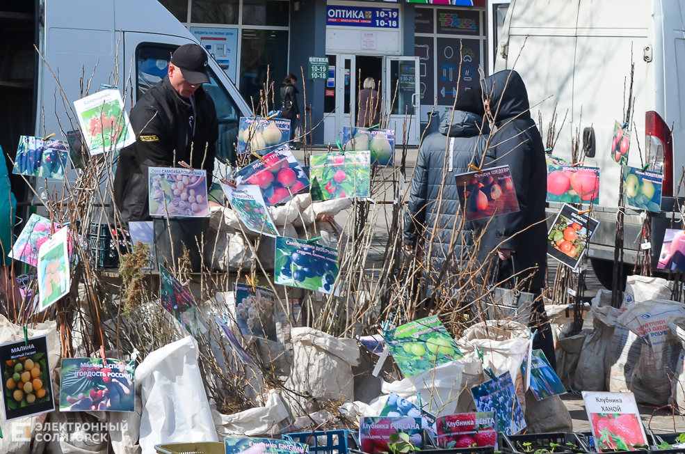 весенняя ярмарка солигорск