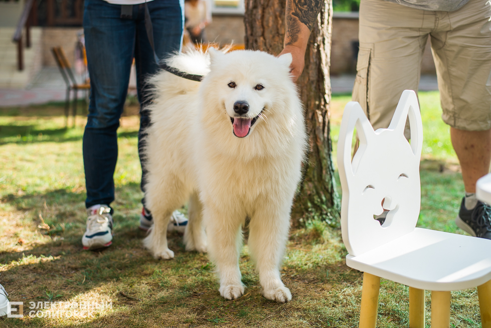 люблю-кормлю