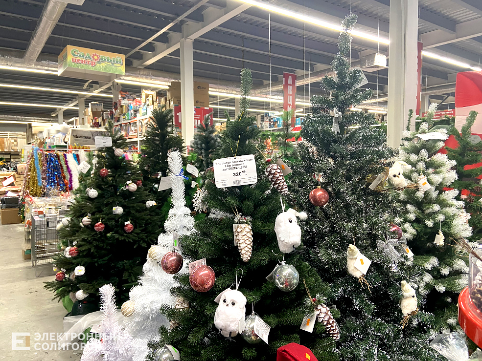 цены на елки