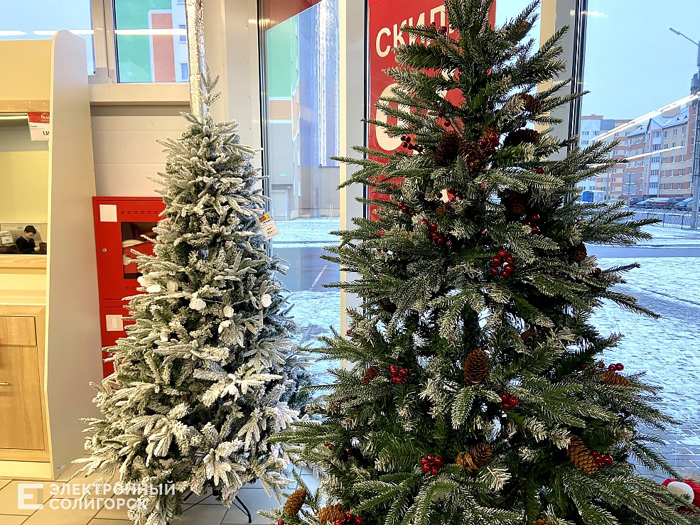 цены на елки