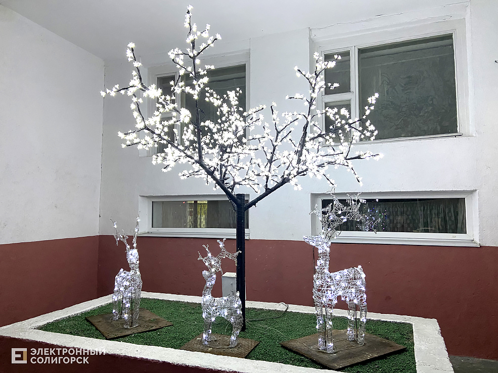 новогодний солигорск