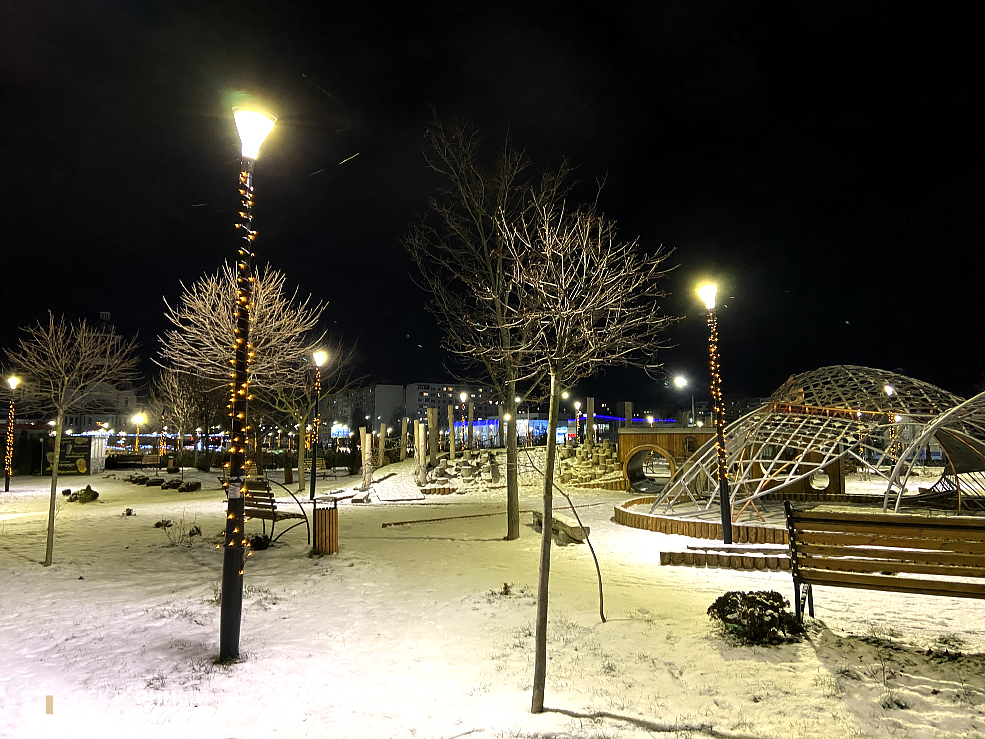 новогодний солигорск