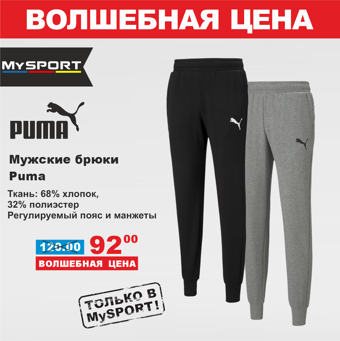 Puma 1