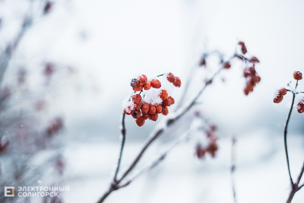 снежный город