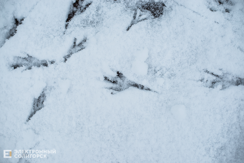 снежный город