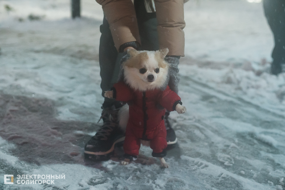 снежный город