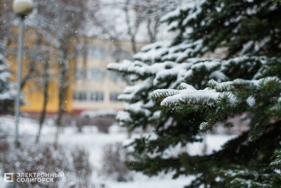 снежный город