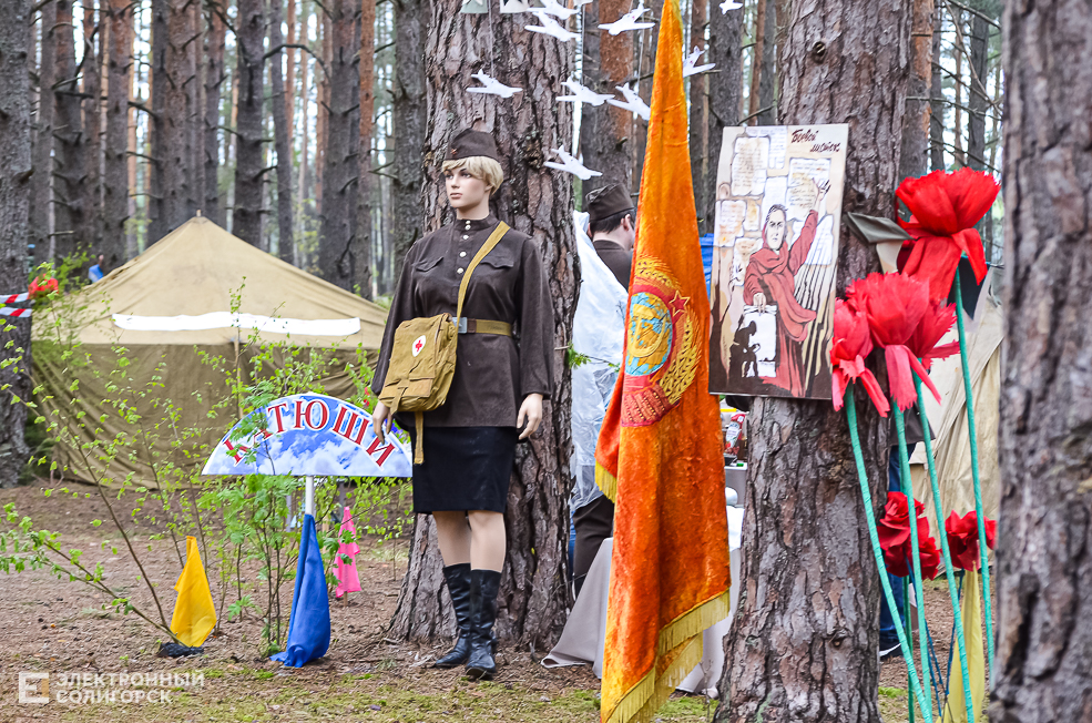 Krasnaya Gvozdika 23