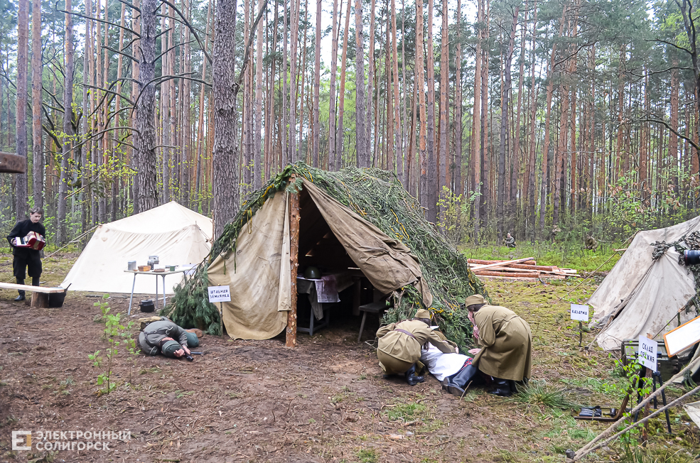 Krasnaya Gvozdika 38