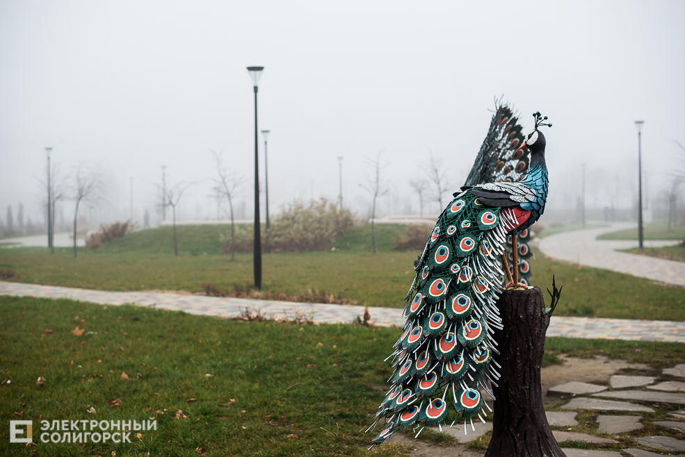 туман в солигорске