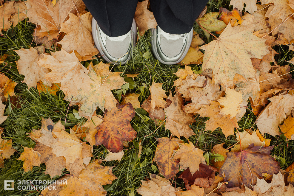 осень в парке