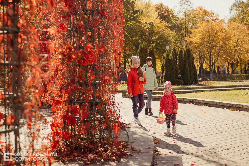 осень в парке