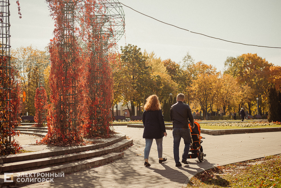 осень в парке