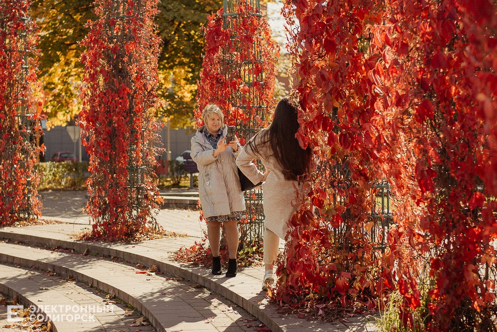 осень в парке