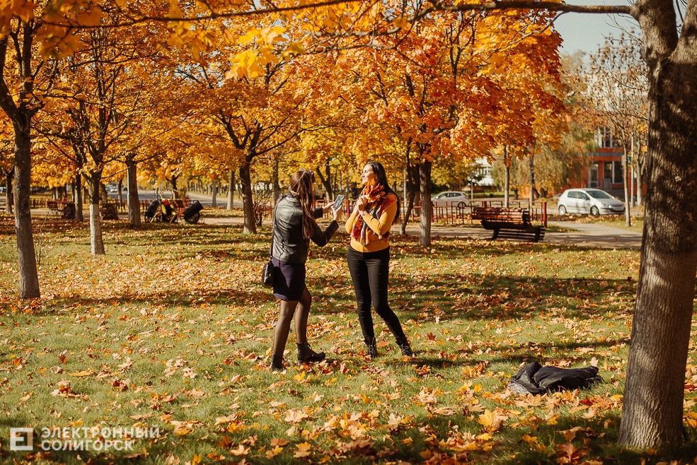 осень в парке