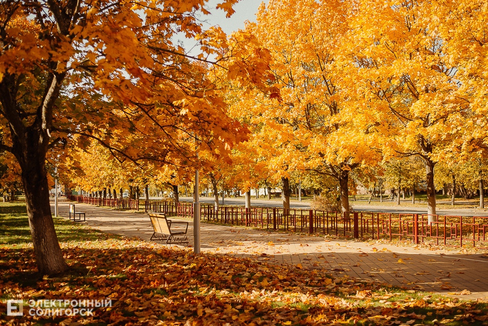 осень в парке