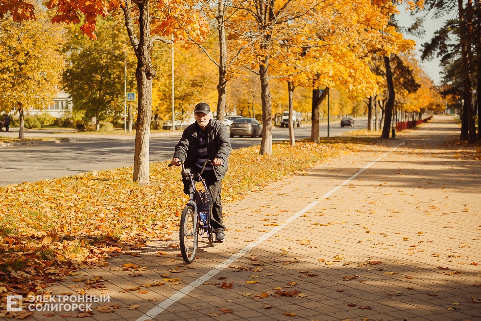 осень в парке
