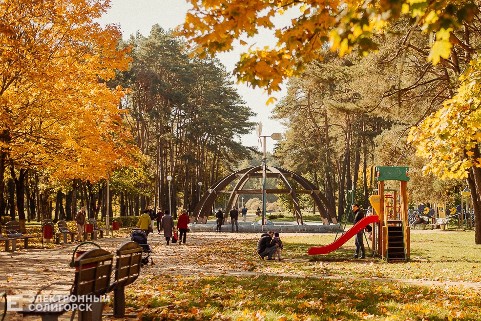 осень в парке