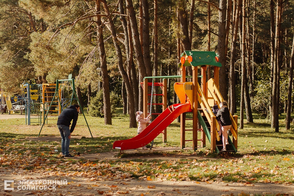 осень в парке