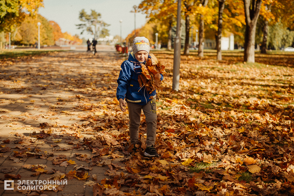 осень в парке