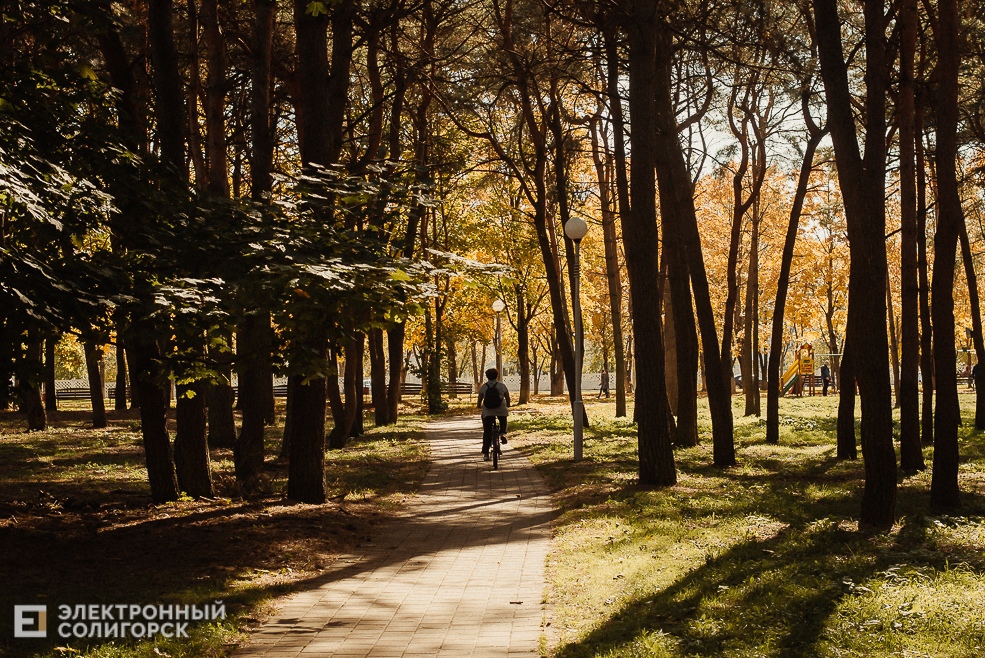 осень в парке