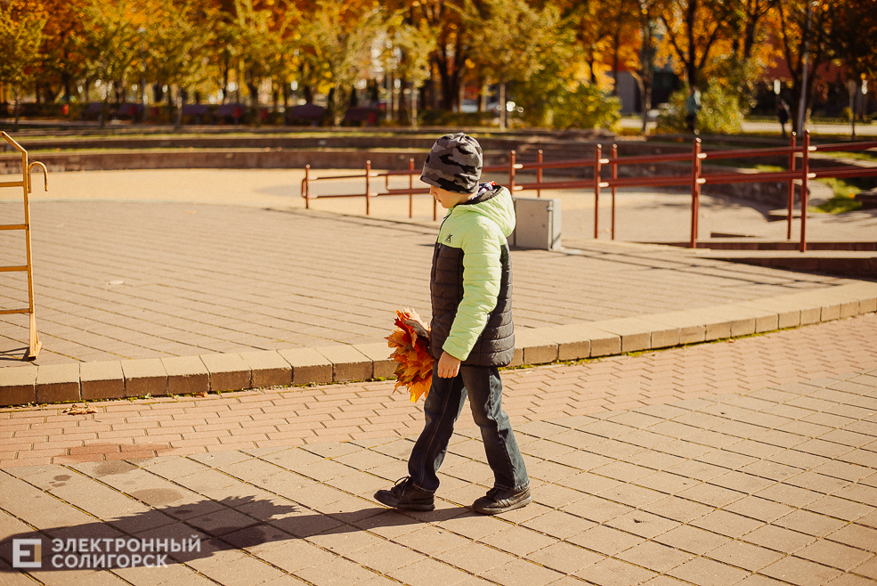 осень в парке