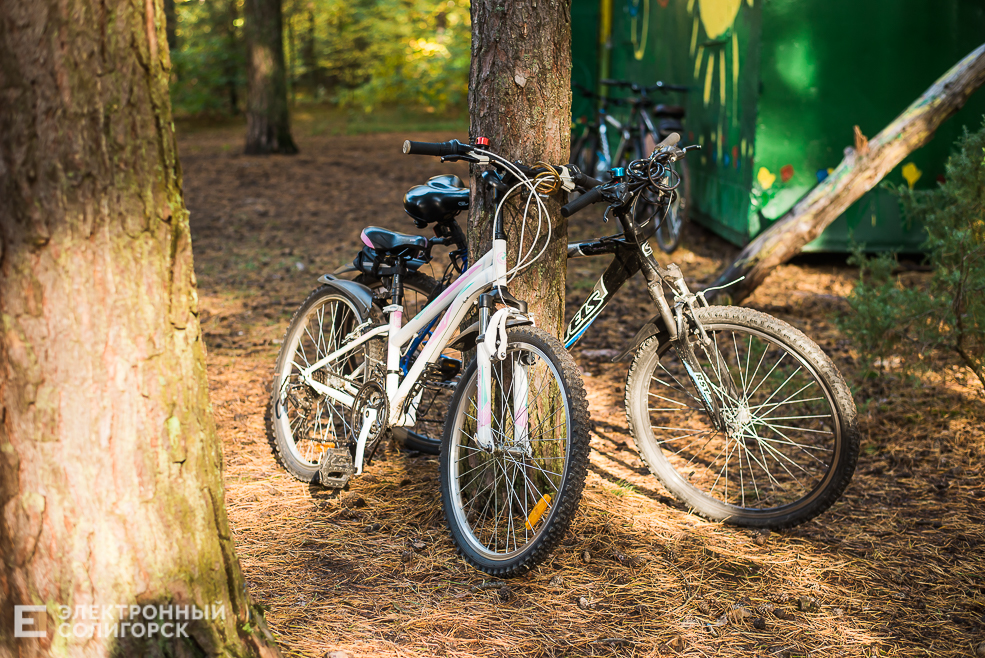 ориентирование