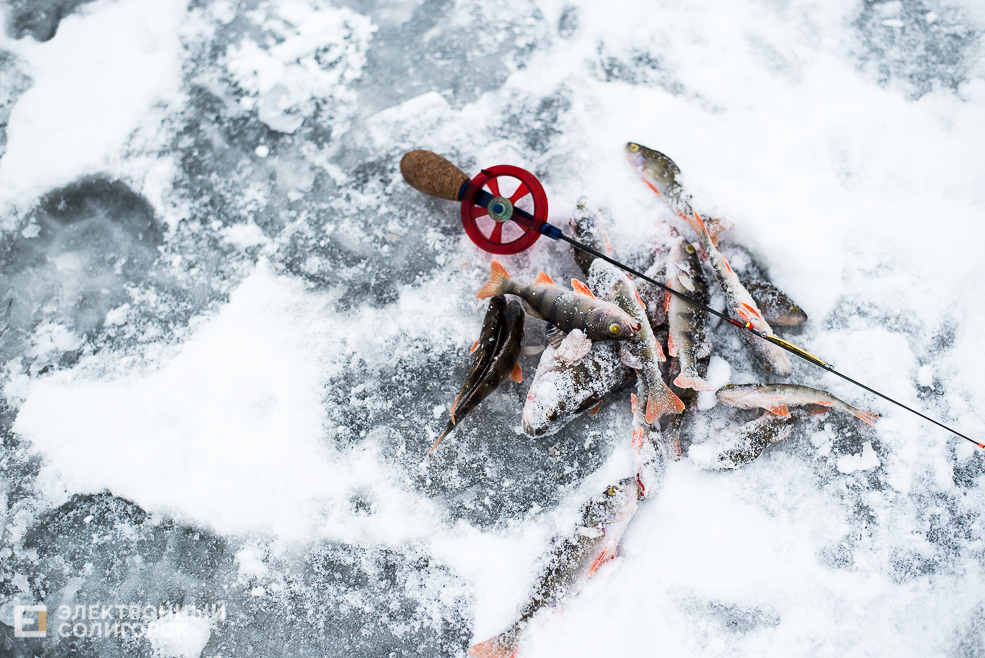 соревнования по ловле рыбы