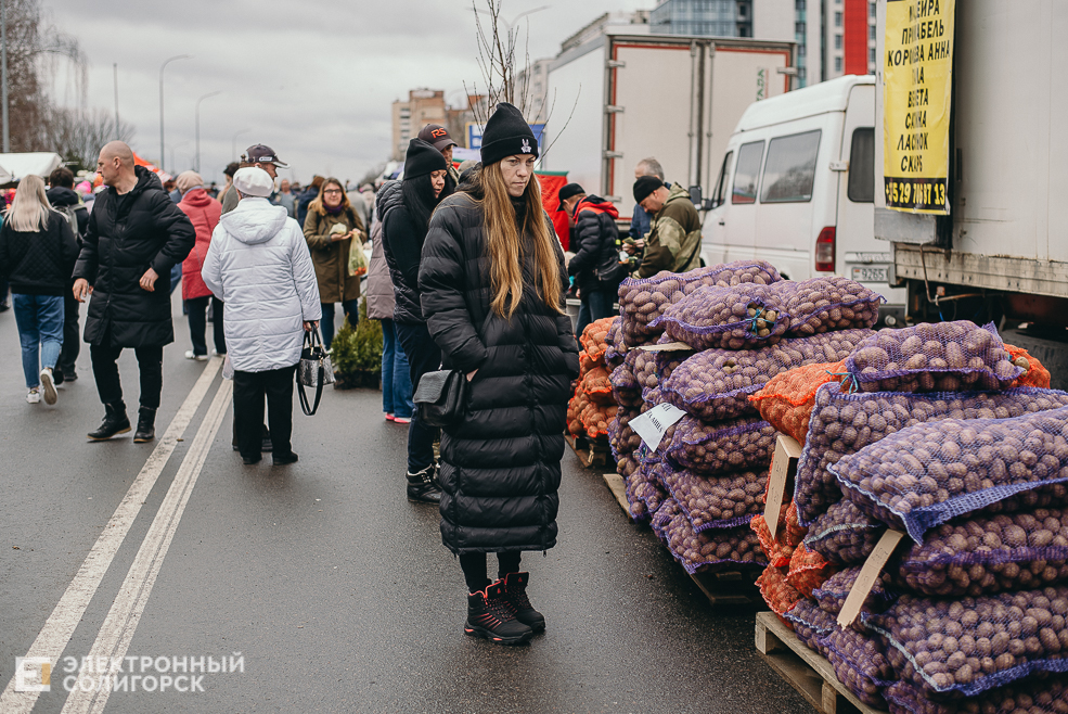 региональная ярмарка
