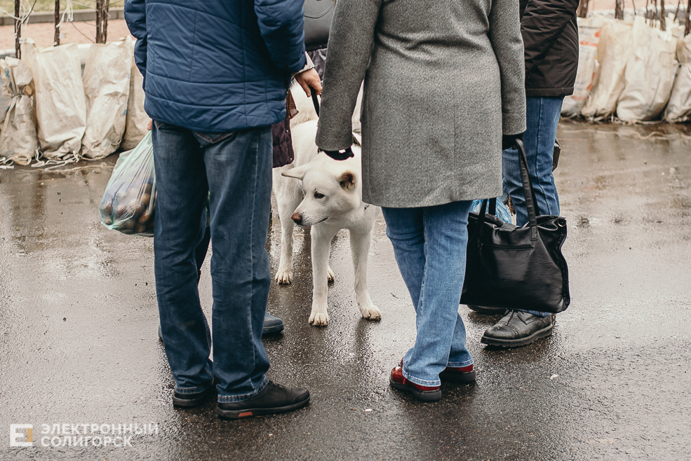 региональная ярмарка
