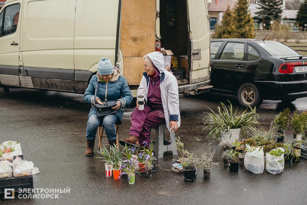 региональная ярмарка