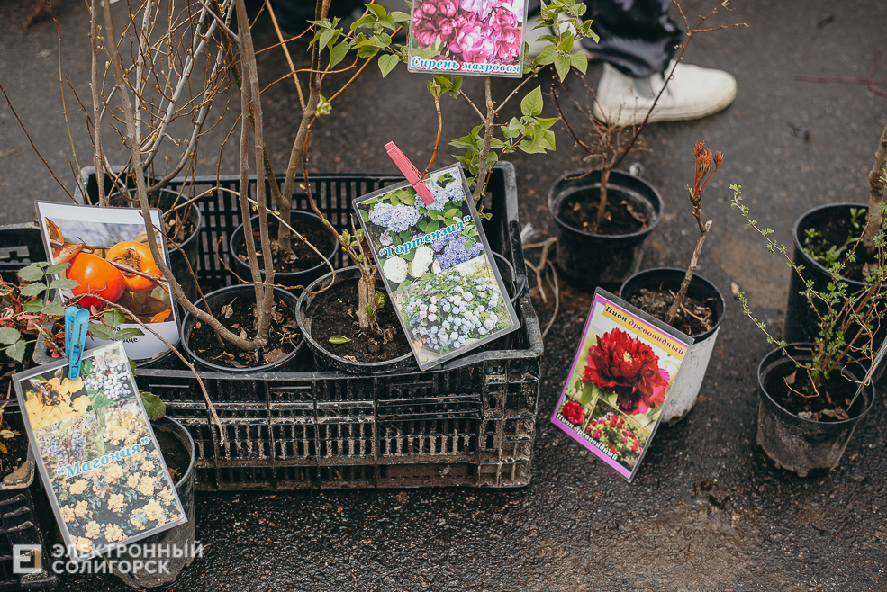 региональная ярмарка