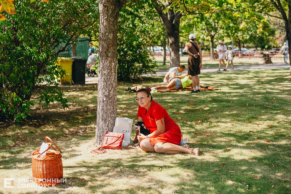 день города